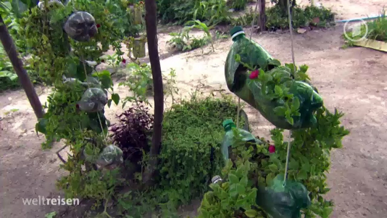 Weltreisen - Terra do Sol - Unterwegs in Brasiliens Nordosten