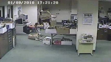 Dog Senses Earthquake Before It Happens And Runs The Hell Out Of There