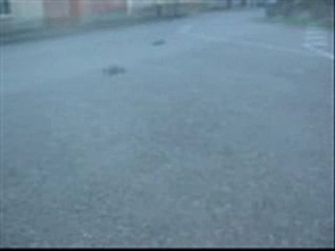 Voiture thermique radiocommandée