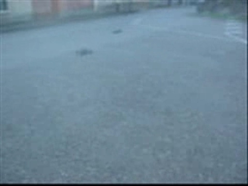 Voiture thermique radiocommandée