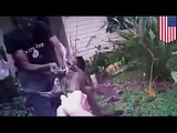 Policía usa un arma Taser contra un perro pitbull luego de que el animal decidió atacar a sus dueños