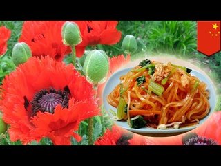 Comida adictiva: Vendedor de fideos en China añadió opio en su receta para atraer mas clientes