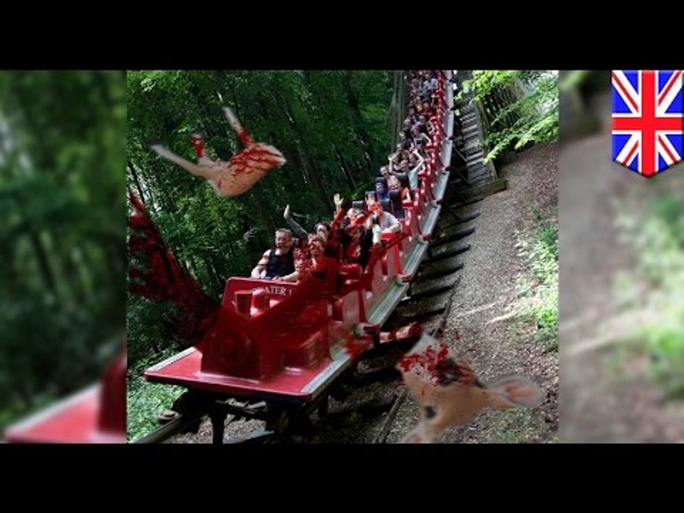 Venado es decapitado por una montaña rusa y los pasajeros terminan bañados en sangre