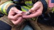 Bomberos improvisan mascaras de oxigeno para salvarle la vida a hamsters atrapados en un incendio