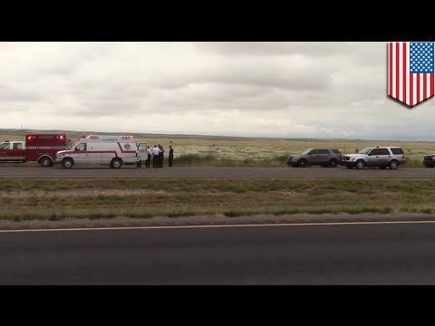 Dos hombre ebrios se estrellan cerca de Roswell y despiertan en un campo rodeados por burros