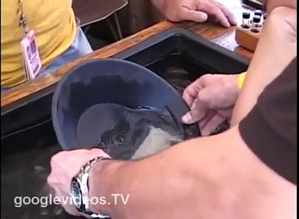 Gold panning tricks