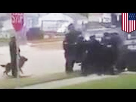 Policía le dispara a un pequeño perro mientras intentaban resolver una disputa entre vecinos