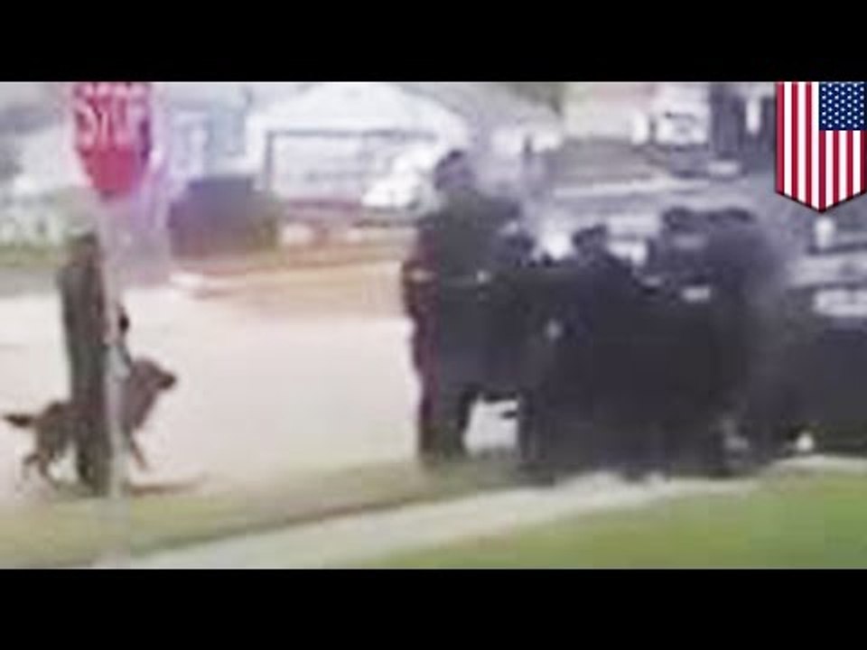 Policía le dispara a un pequeño perro mientras intentaban resolver una disputa entre vecinos