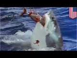 Hombre arriesga su propia vida para salvar a su amiga que estaba siendo atacada por un tiburón