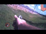 Video muestra el momento en que oficial de policía usa fuerza letal contra un cachorro de pitbull