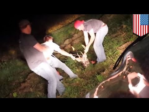 Jóvenes universitarios rescatan a un ciervo atrapado en un socavón