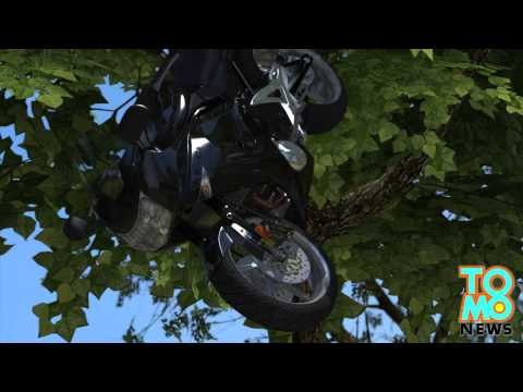 Motociclista muere al chocar con árbol talado por un grupo de Boy Scouts