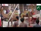 Sacrificio de camello durante las festividades de Eid al-Adha en Pakistan termina horriblemente mal