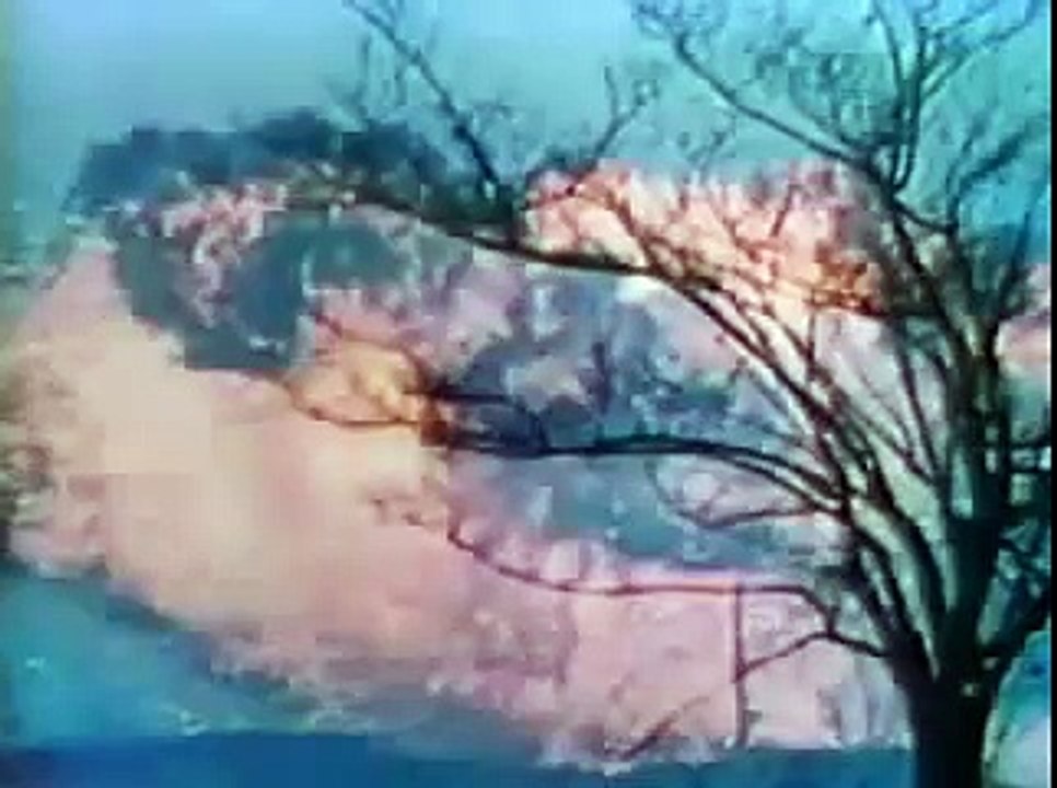 1968 Nixon Campaign Commercial - Vietnam War