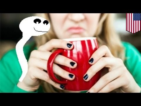 Hombre obsesionado con una compañera de trabajo eyacula en su café y escritorio