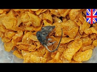 Abuela en Inglaterra encuentra un ratón muerto en una caja de Corn Flakes de Kellogg’s