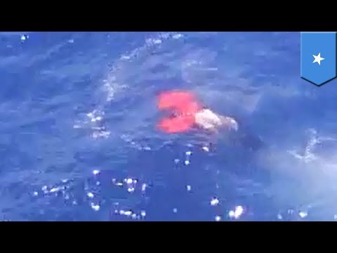 Posibles piratas somalíes son asesinados a tiros por pescadores en fallido intento de secuestro