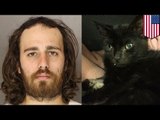Crueldad animal: Policía arresta a hombre que le inyecto heroína a un gato y lo golpeo brutalmente