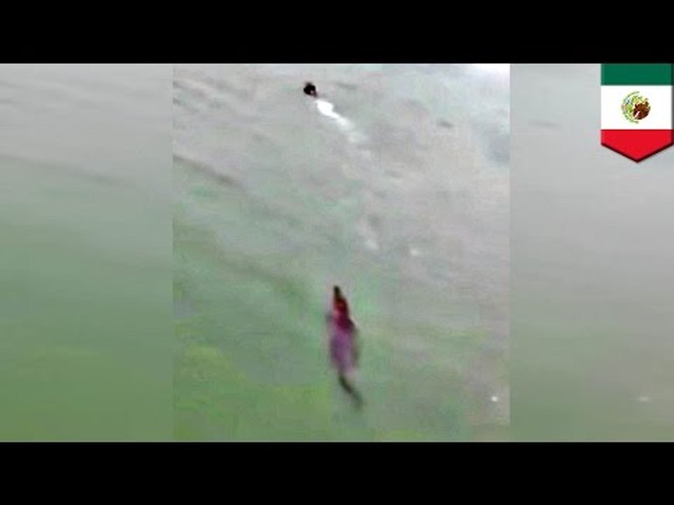 Turista se salva de morir devorado por un enorme cocodrilo en Playa del Carmen, México