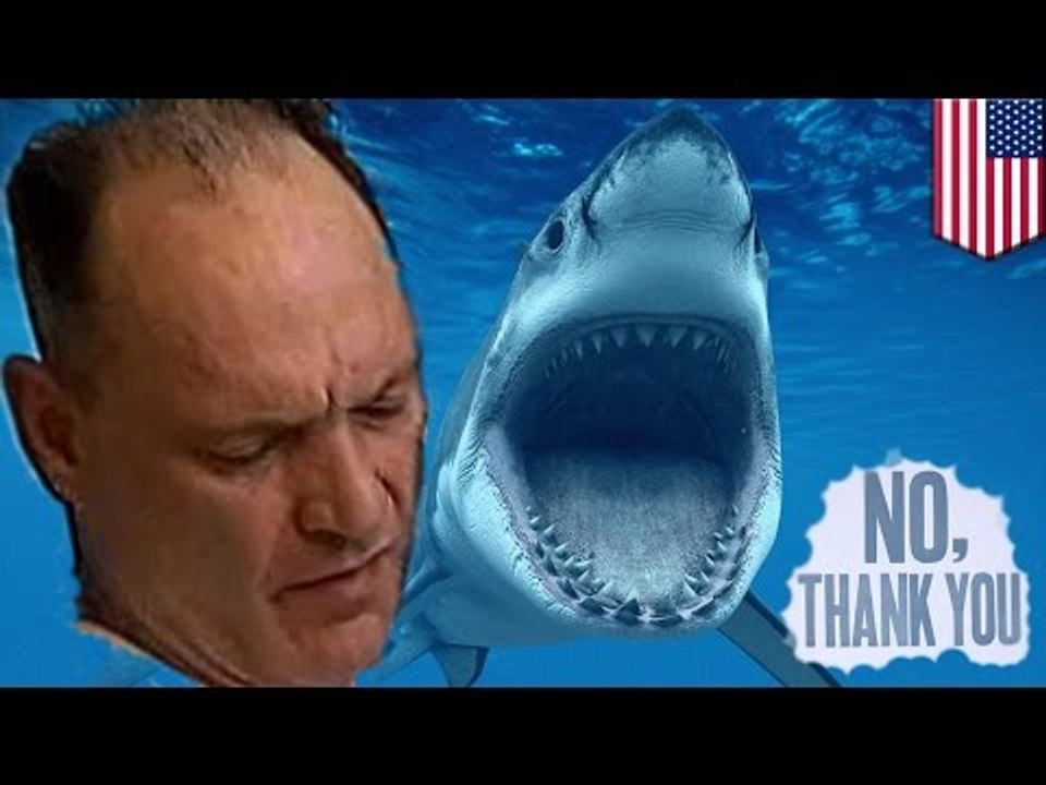 Borracho decide saltar al tanque de tiburones en el Acuario de Boston, termina ileso y en la cárcel