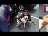 Crueldad contra los animales: Policía en Maryland corta el cuello de un perro extraviado