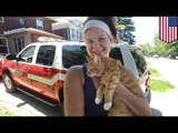 Mujer intenta rescatar gato en un árbol y también queda atrapada, bomberos los rescatan