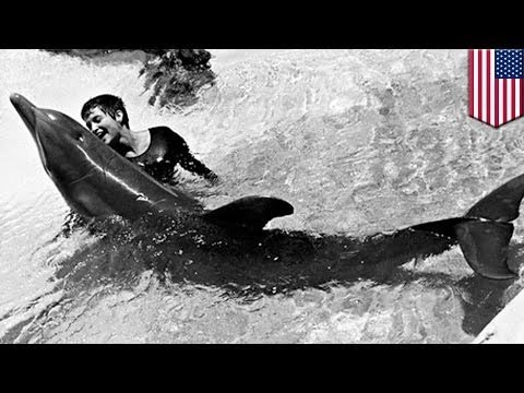 Ex trabajadora de la NASA confiesa que tuvo relaciones sexuales con un delfín durante experimentos