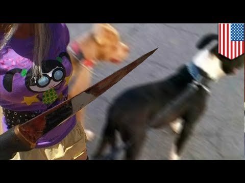 Mujer se defiende y apuñala hasta matar dos perros pitbull durante un feroz ataque