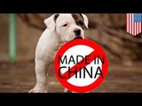 Petco y PetSmart detendrán la venta de golosinas para perros y gatos hechas en China