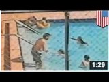VIDEO: Deux fillettes et un garçon se font électrocuter dans une piscine