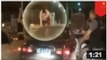 VIDEO: Un voleur de voitures se fait abattre par la police