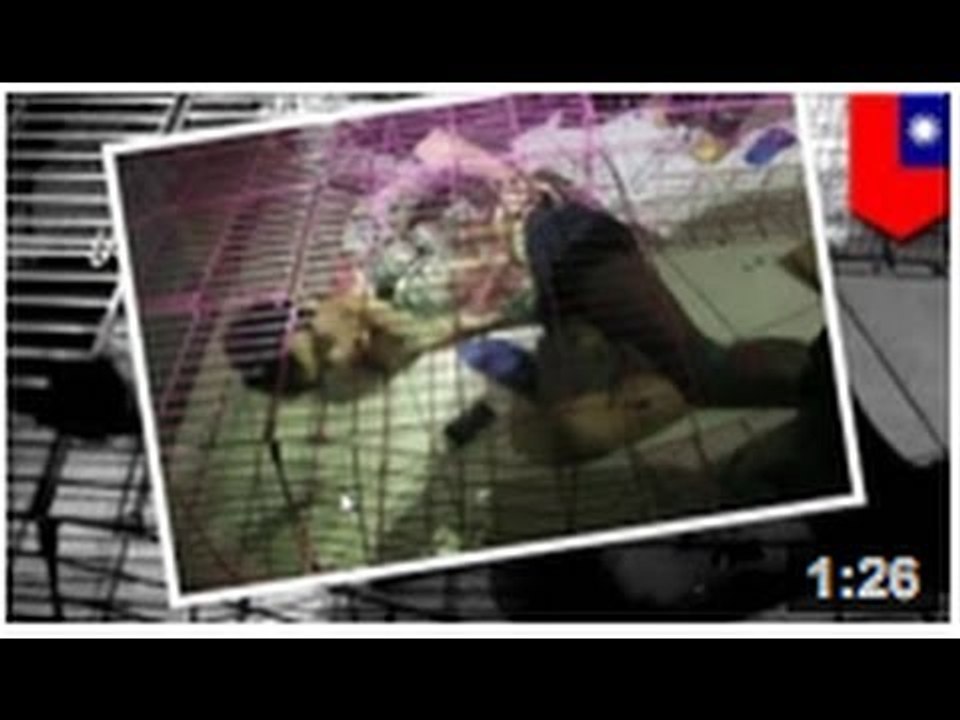 VIDEO: Un homme s'enferme dans une cage et s'attache avec des menottes pendant 4 heures...