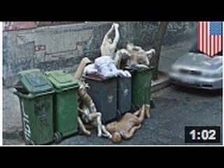 Un vrai faux poisson d'avril.