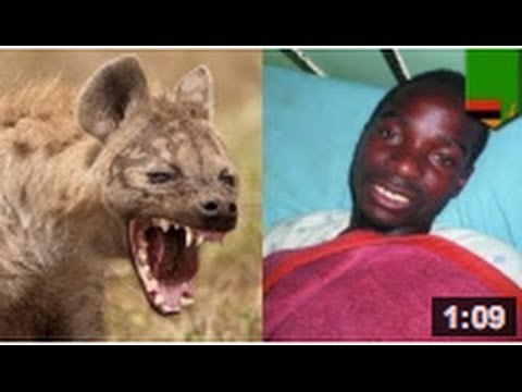 Un homme se laisse manger ses testicules espérant que ça lui rapporte le gros lot!