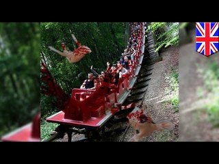 Roller coaster sa Europe, pinugutan ng ulo ang isang usang napadpad sa riles!