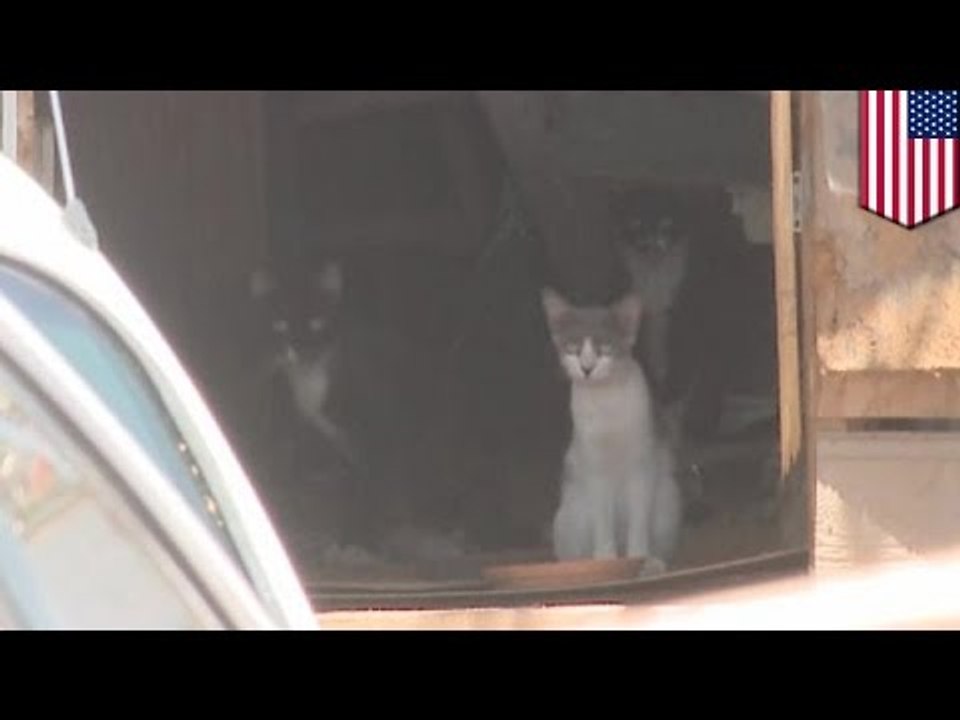 Animal hoarder sa Arizona, namatay; kinain ng alagang hayop ang katawan!