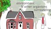 Adapting and Living Together (Chapter Intro) | Ecology and Environment | The Virtual School