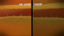4K UHD TV vs. 1080p HDTV - Side by Side Comparison