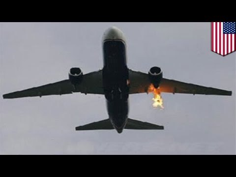 Bird strike forces Alaska Airlines Flight 336 to make emergency landing in Seattle