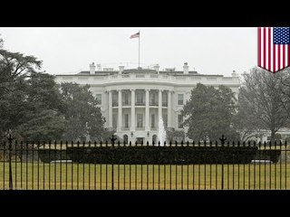 White House car crash: drunk Secret Service agents drove car into barricades