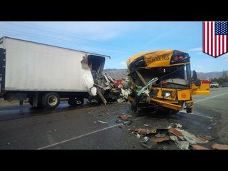 Driver falls asleep at the wheel in crash with Washington school bus carrying 43 children
