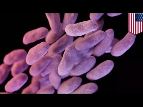 Superbug spreads: Antibiotic resistant bacteria infected 4 patients at UCLA Hospital