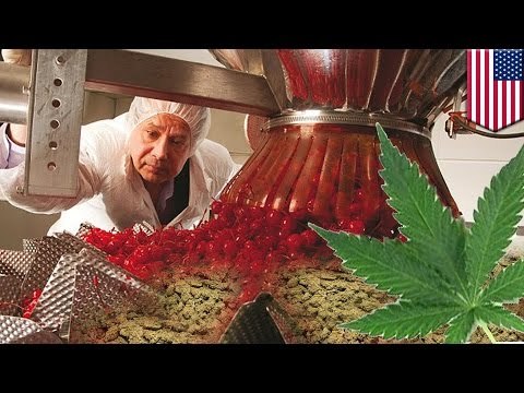 Cherry king kills himself after giant illegal drug operation found at factory