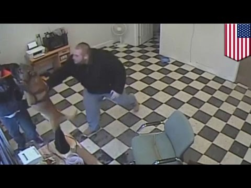 Man’s best friend saves the day: Thor, a pit-bull mix attacks a gunman and saves his owner