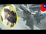 Crazy car accident: Hawk crashes head on into a car, survives sucked into engine block