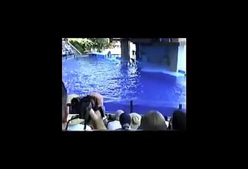 SeaWorld Ohio 1998