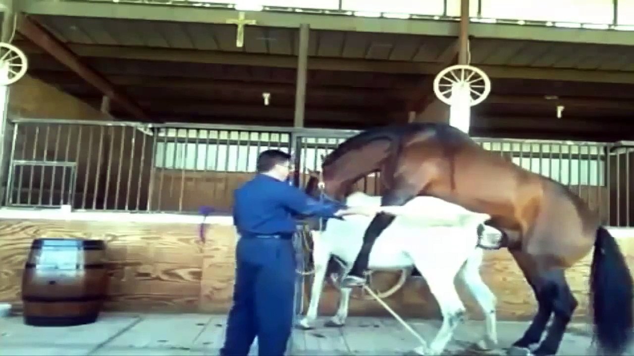 FUNNY ANIMAL! fuN!!