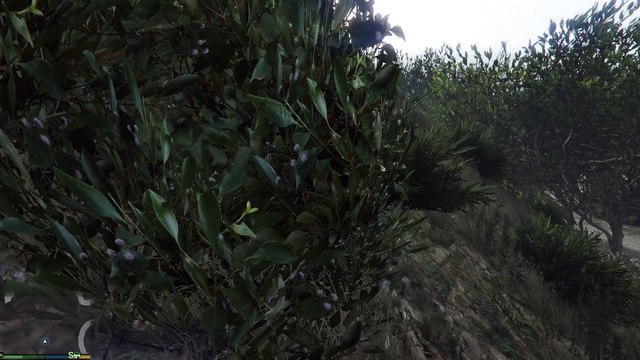 Grand Theft Auto V PC / Ultra / 4K (3/3)