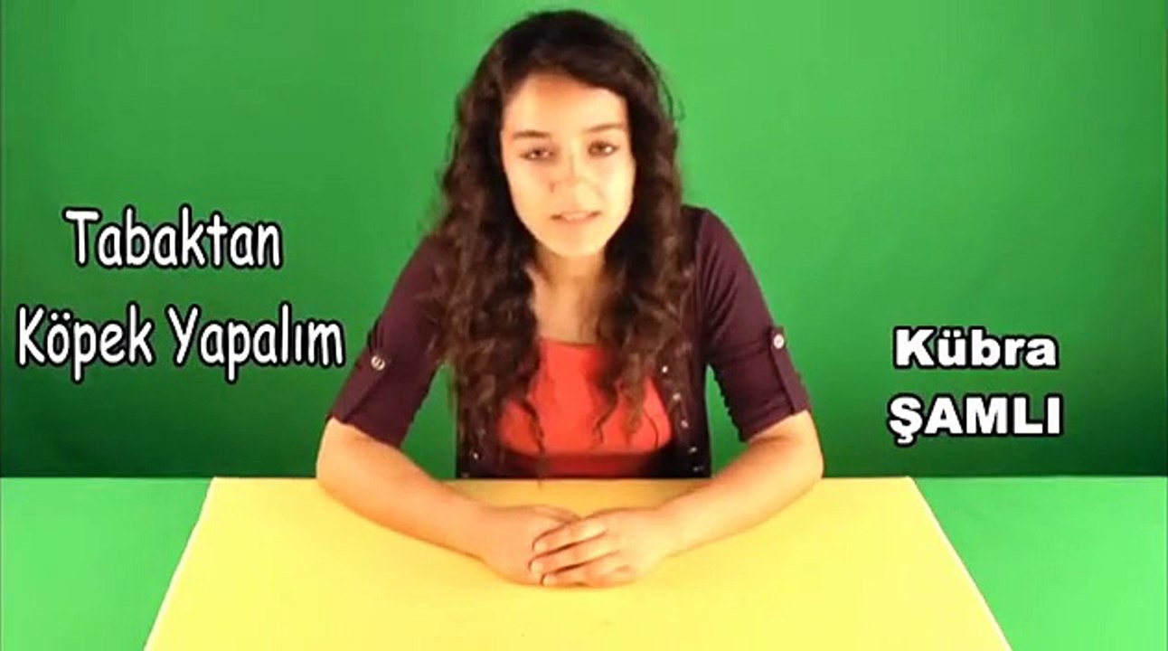 Tabaktan Köpek Yapalım