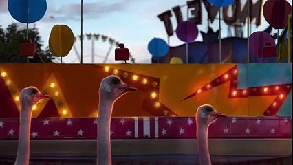 Animals can also enjoy